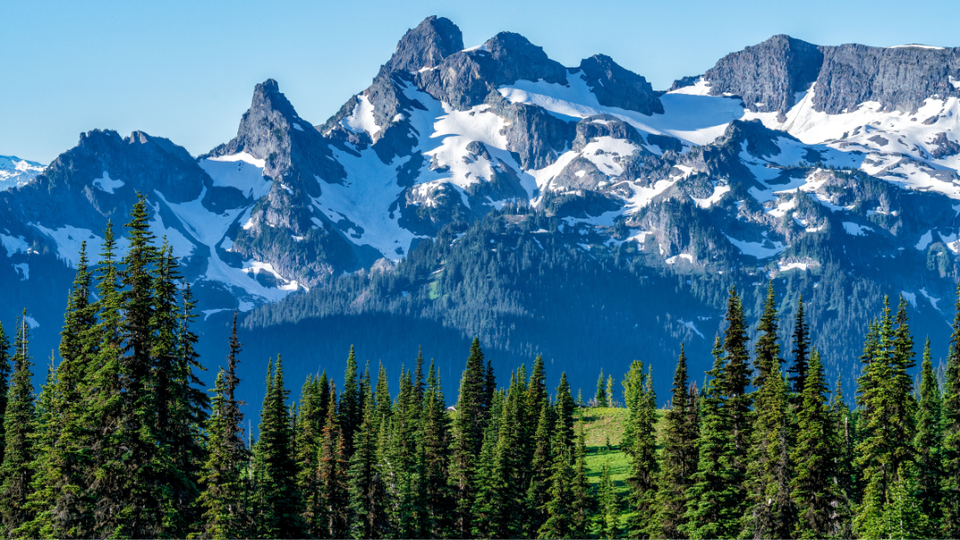 Paysage de montagne